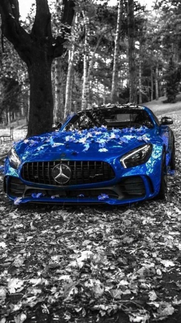 mercedes amg gtr