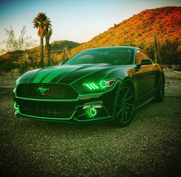 мустанг зеленый