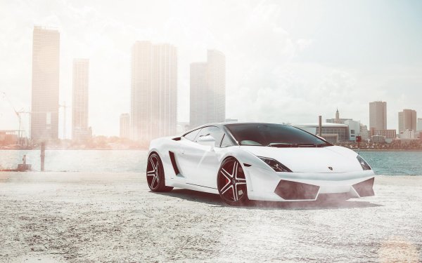 white lamborghini