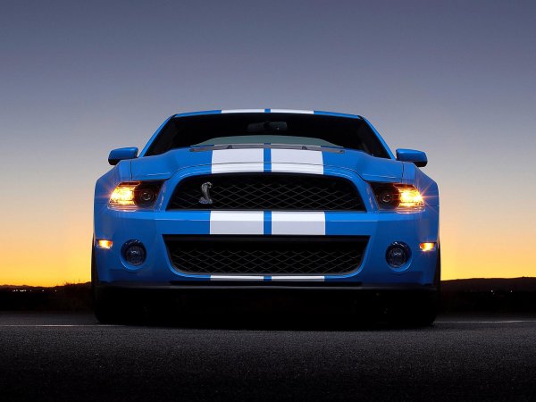 мустанг шелби gt 500