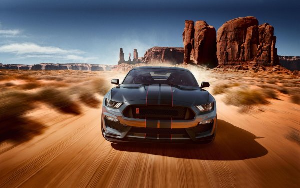 ford shelby gt350r