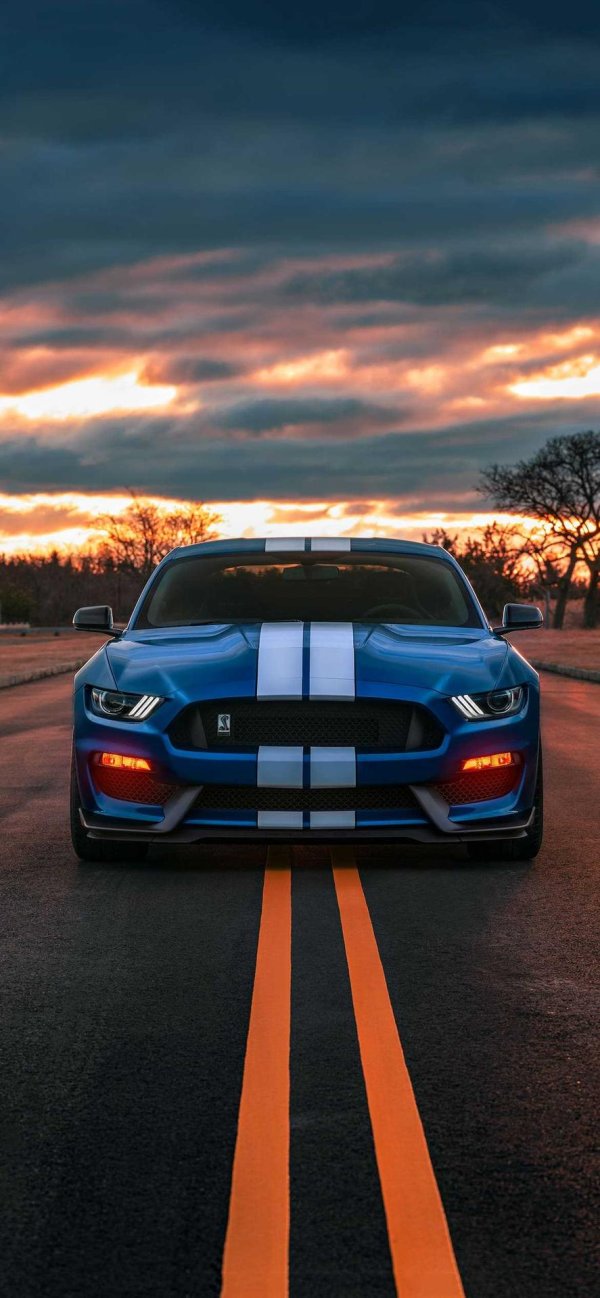 ford shelby gt350