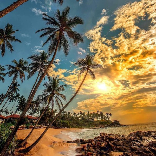 пляж палолем индия