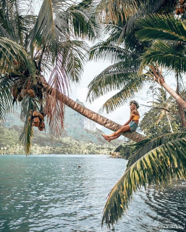 отдых на мальдивах