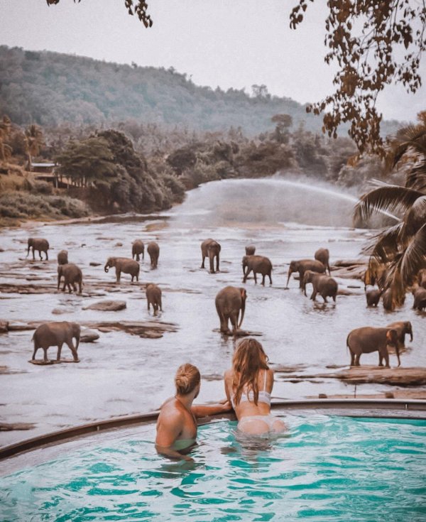 safari lodge serengeti