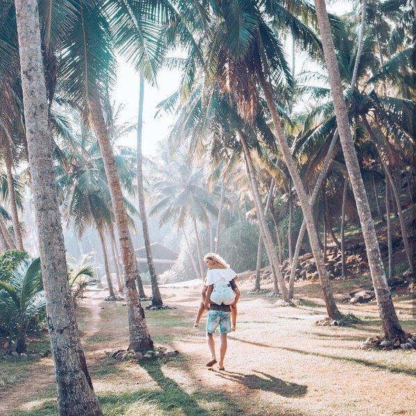 coconut tree hill mirissa