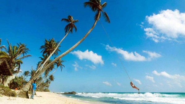 шри ланка тарзанка