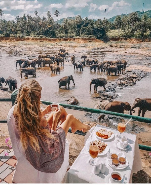 sri lanka инстаграм