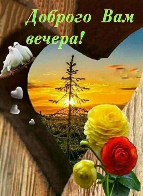 добр вечер