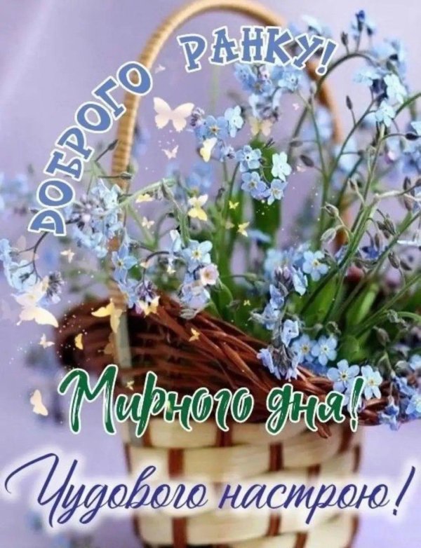 букет незабудки