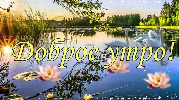 красивые поздравления с добрым утром природа