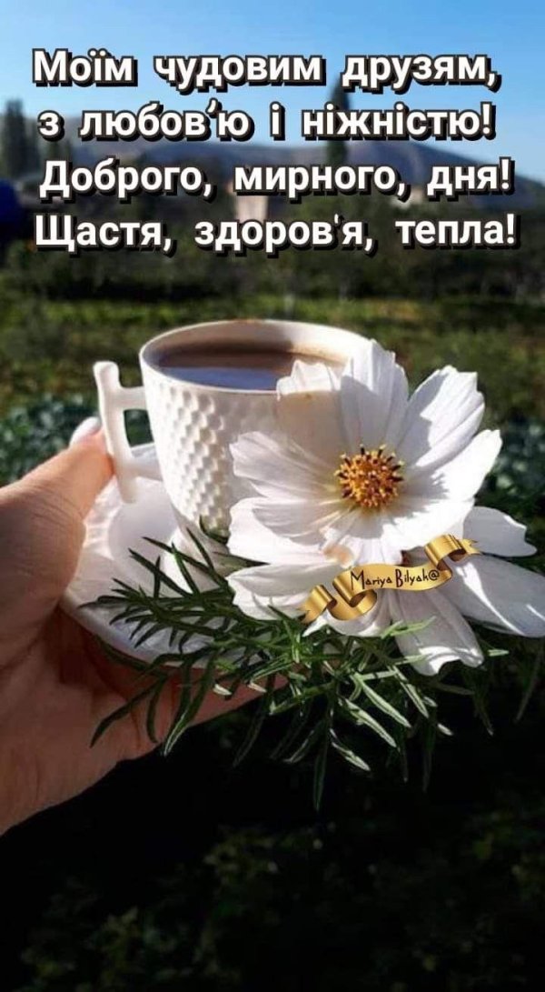 добрий ранок