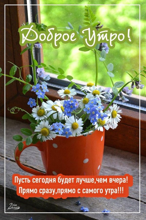 доброе незабудковое утро