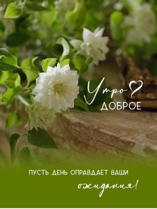 открытки доброе летнее утречко