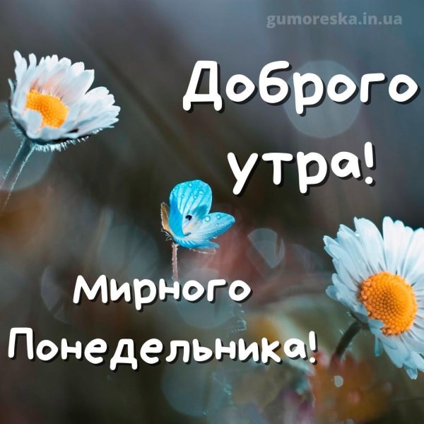 доброе утро понедельника хорошего дня