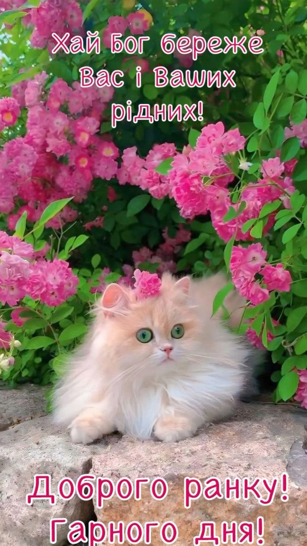 доброго ранку
