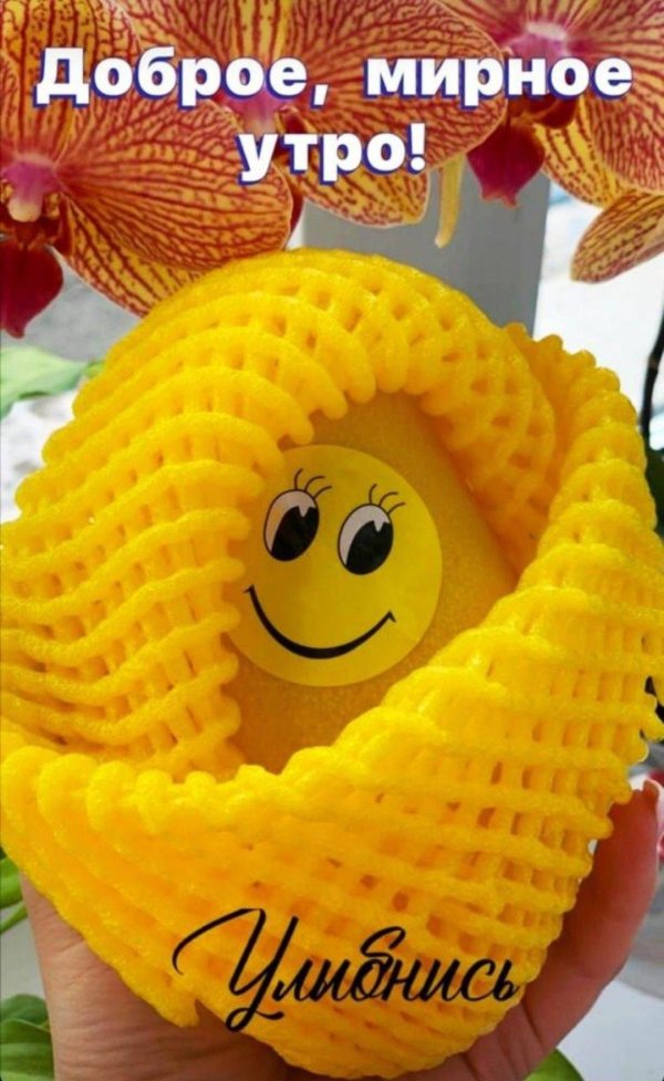 добра утра