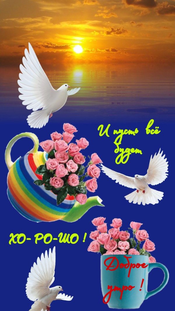 голубь святой дух