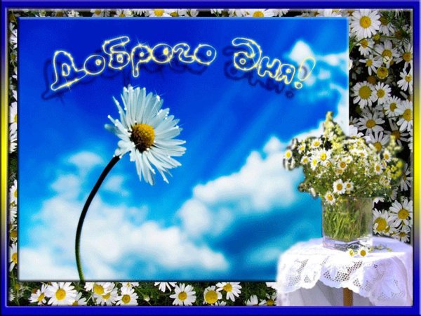 хорошего дня с ромашками