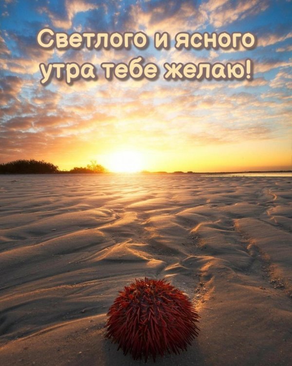 эзотерическое доброе утро