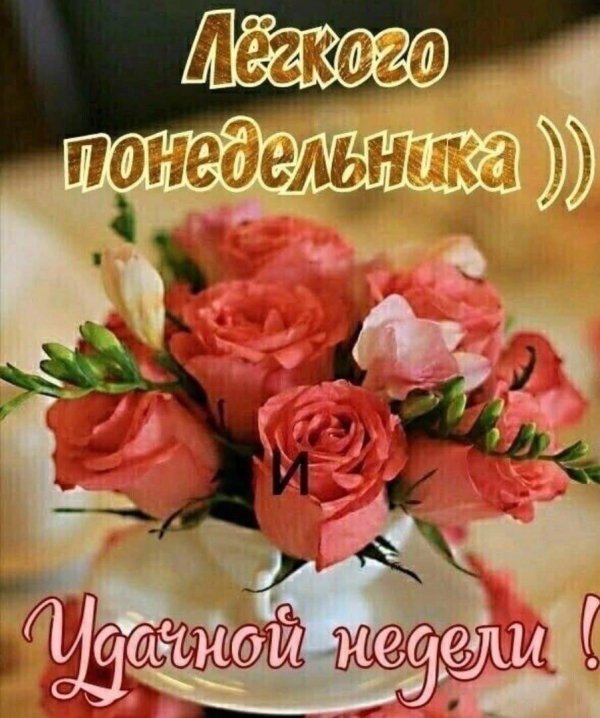 открытки с добрым понедельником