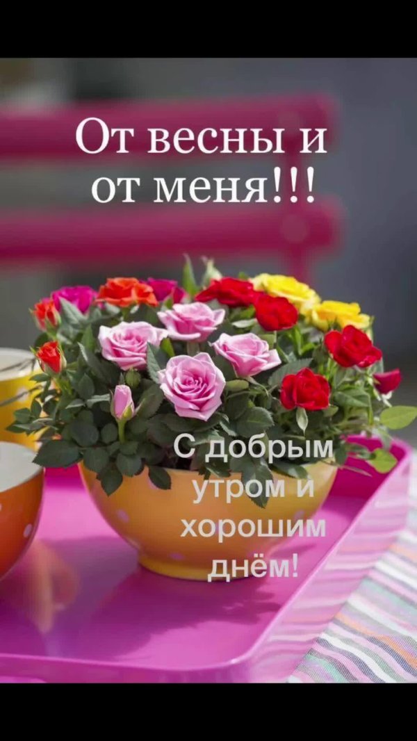 с добрым утром цветы