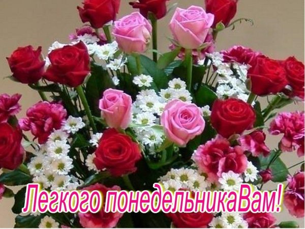 красивая цветок