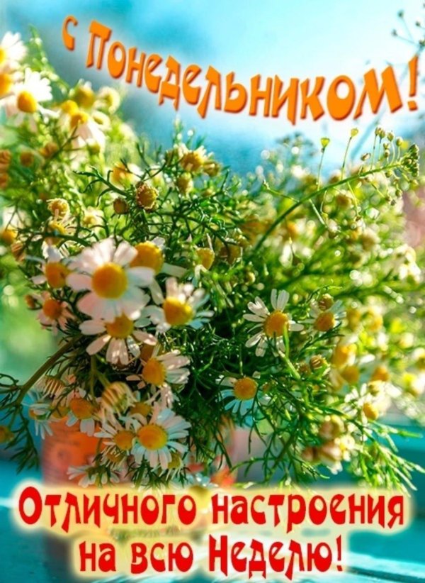 отличного понедельника