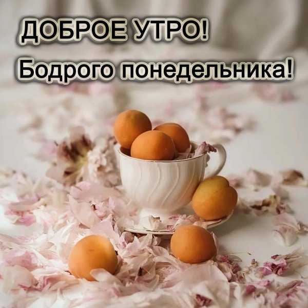 понедельник доброго утра