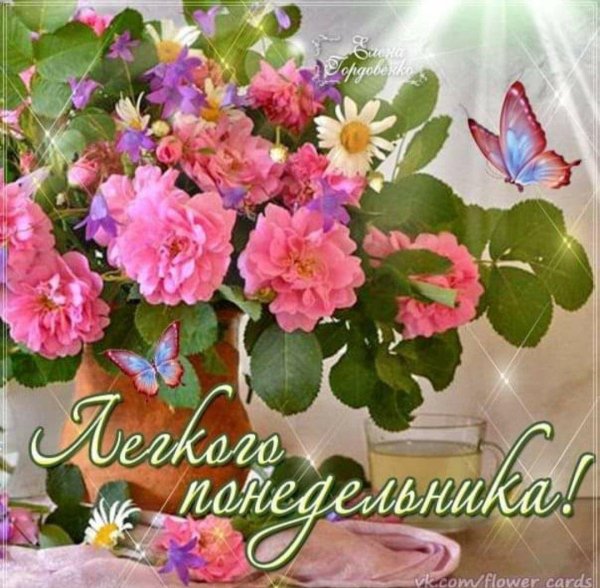 чудесного понедельника и хорошей недели