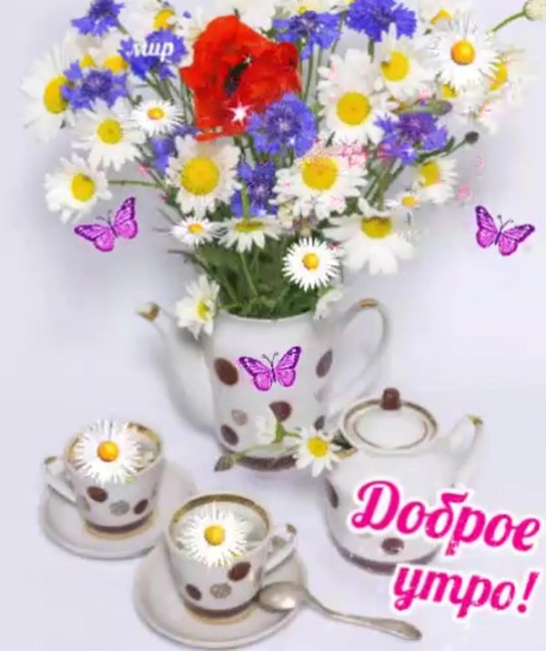 открытки с добрым понедельником