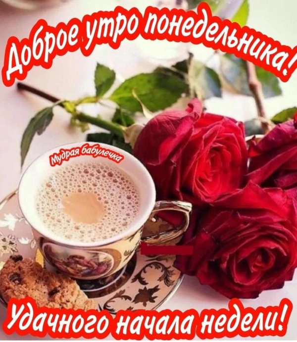 прекрасного утра понедельника