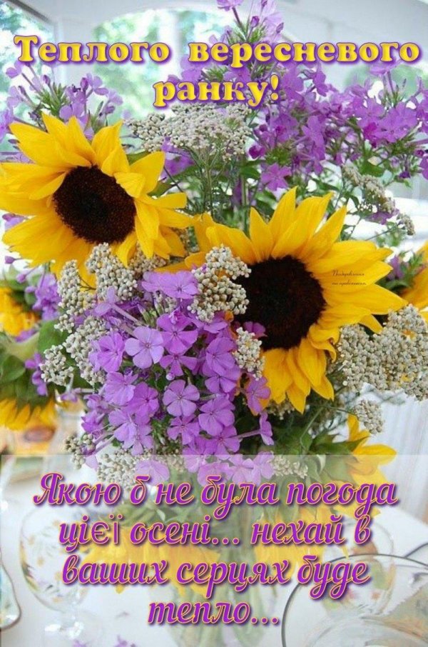 летние букеты