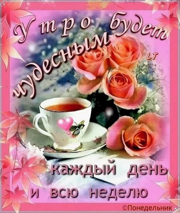 доброе утро на каждый день недели