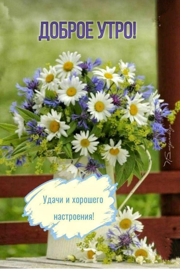 букет полевые цветы