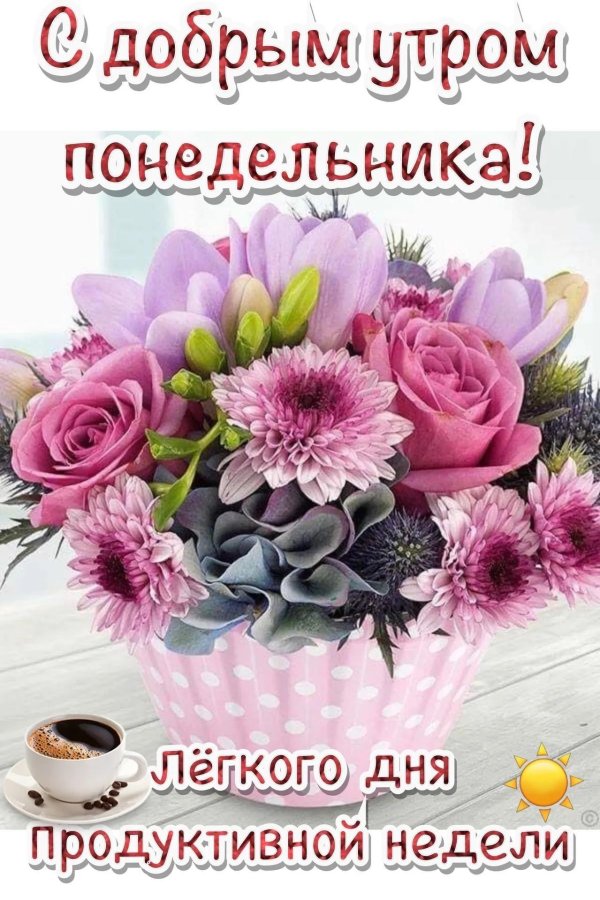 добрейшего утра понедельника