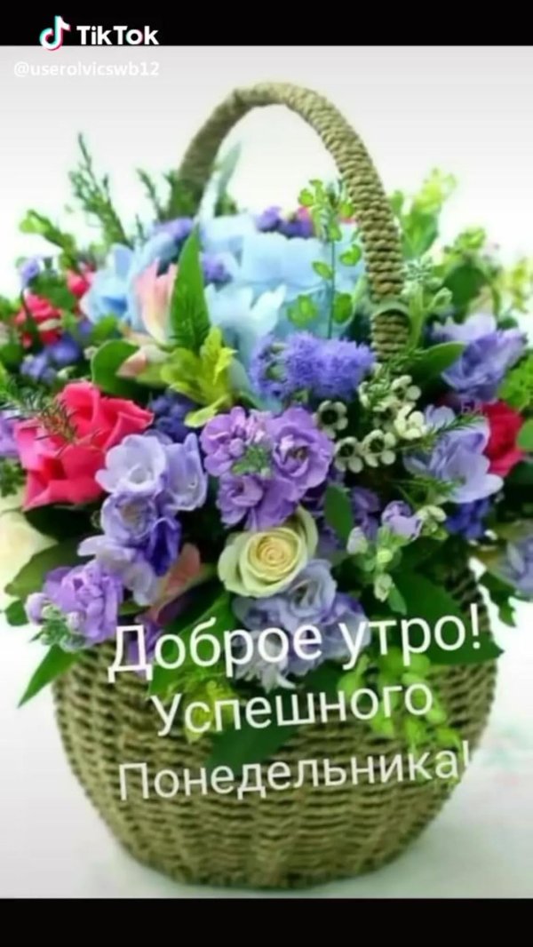 с добрым утром цветы в корзинах