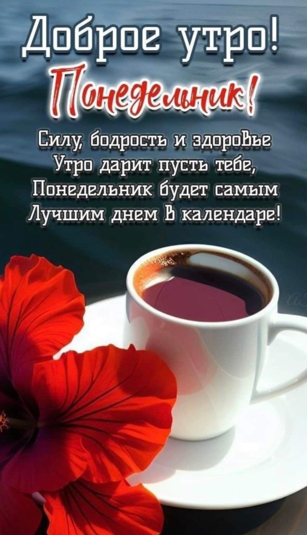 добрейшего утречка понедельника