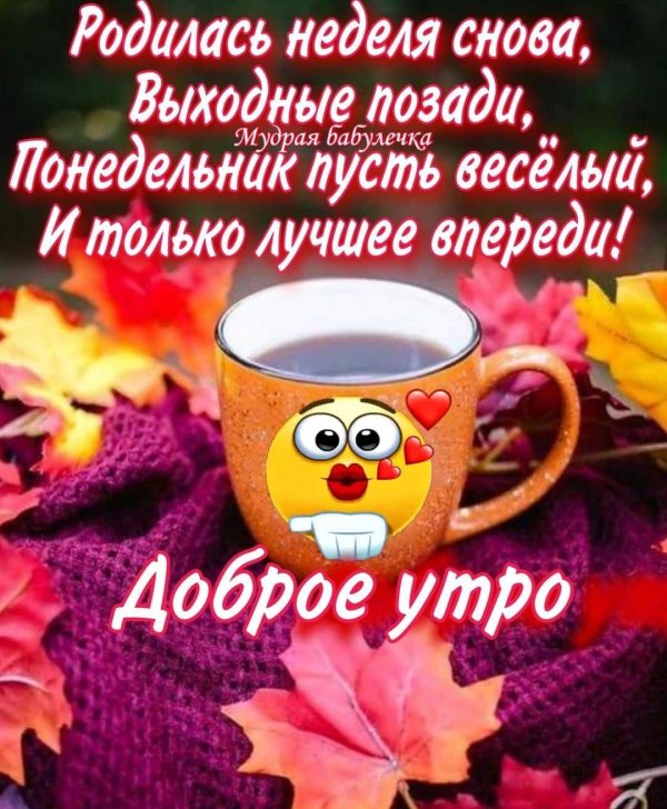 доброе утро понедельника осенние