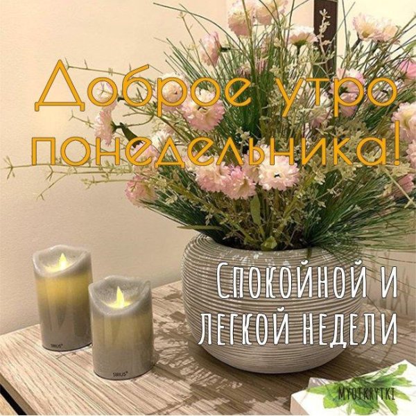 стильные открытки с понедельником