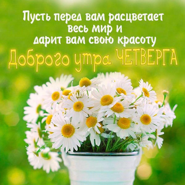 доброе утро лето четверг