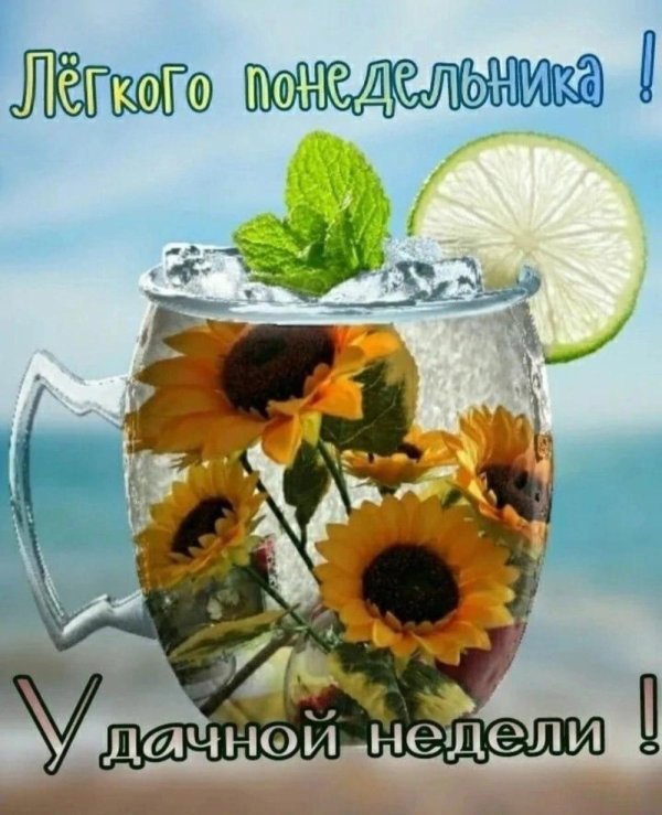 доброго утра понедельника лето