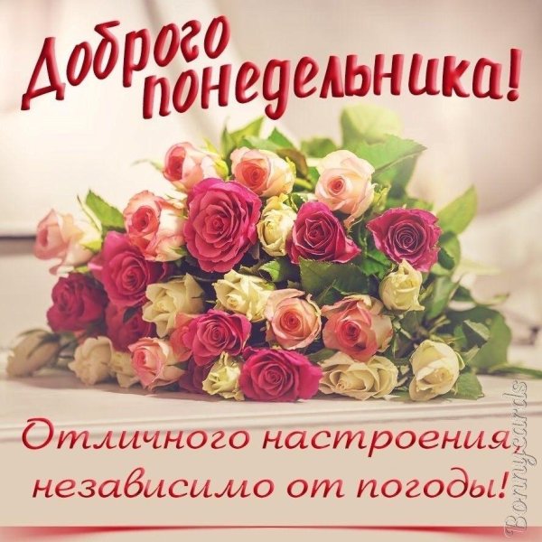красивое поздравление с понедельником
