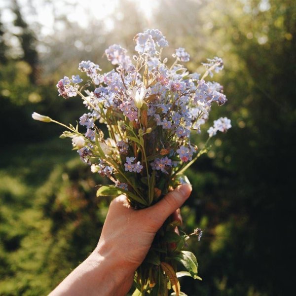запах цветочков эстетика