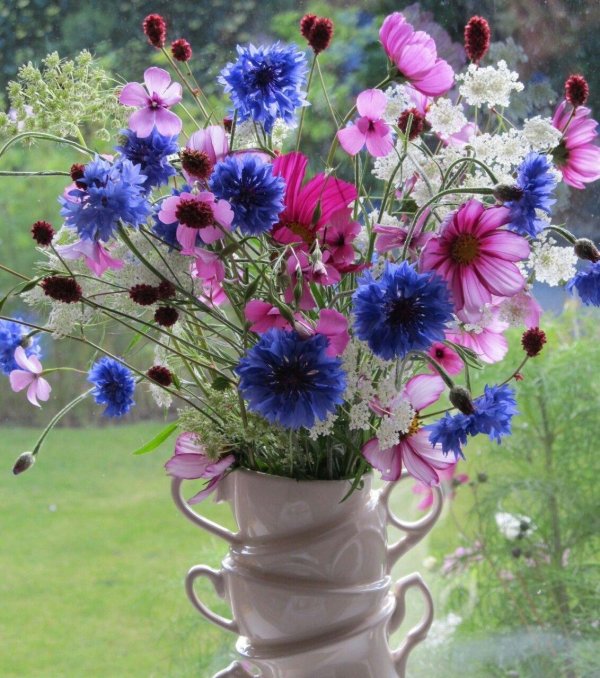 доброе утро с полевыми цветами