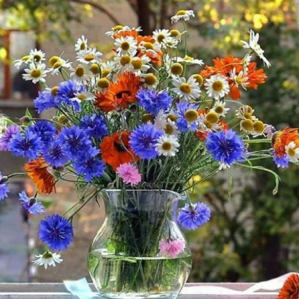 красивые букеты полевых цветов