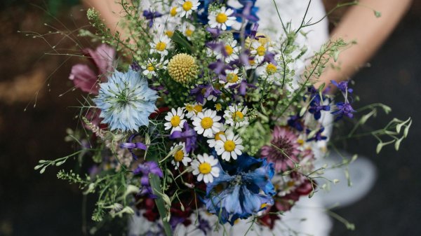 танацетум букет невесты