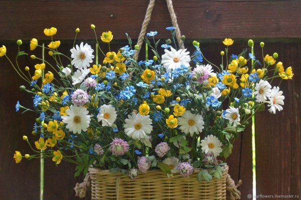 ромашка лютик василек