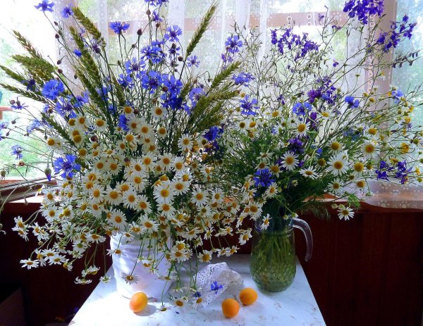 букет полевых васильков