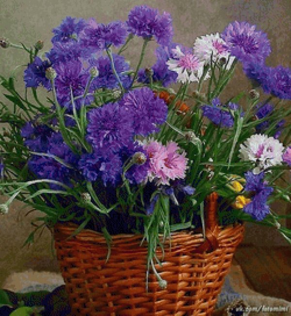 полевой цветок